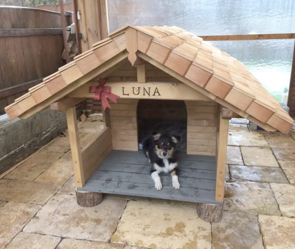 feiersinger hotter bild79